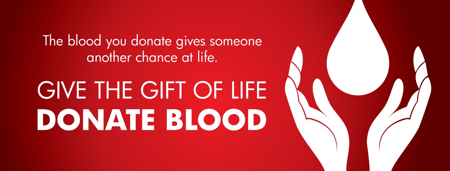 Predicting if a Blood Donor will donate within a given time window