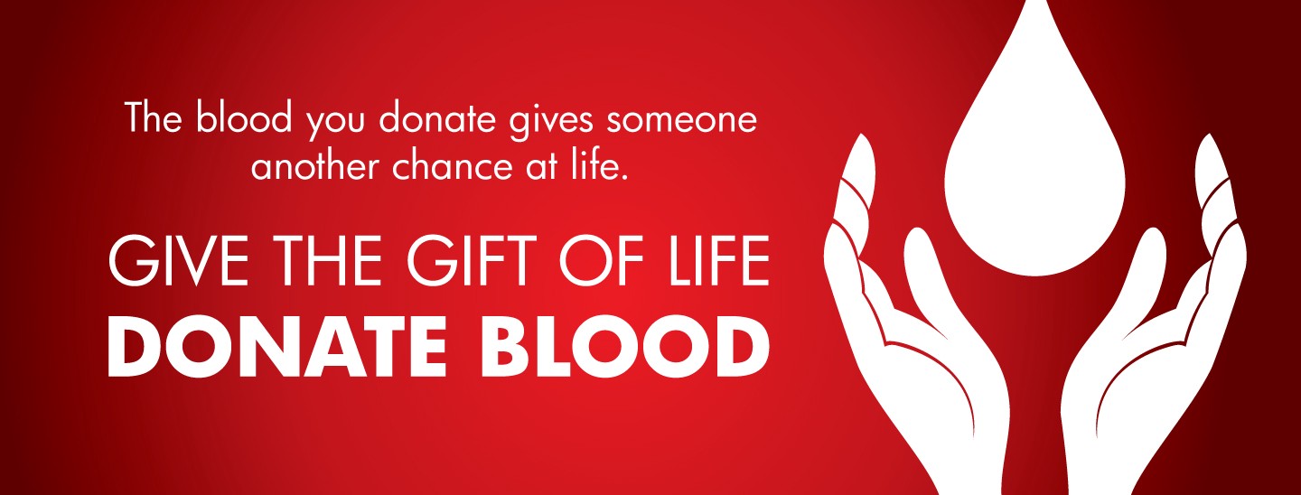 predicting-if-a-blood-donor-will-donate-within-a-given-time-window